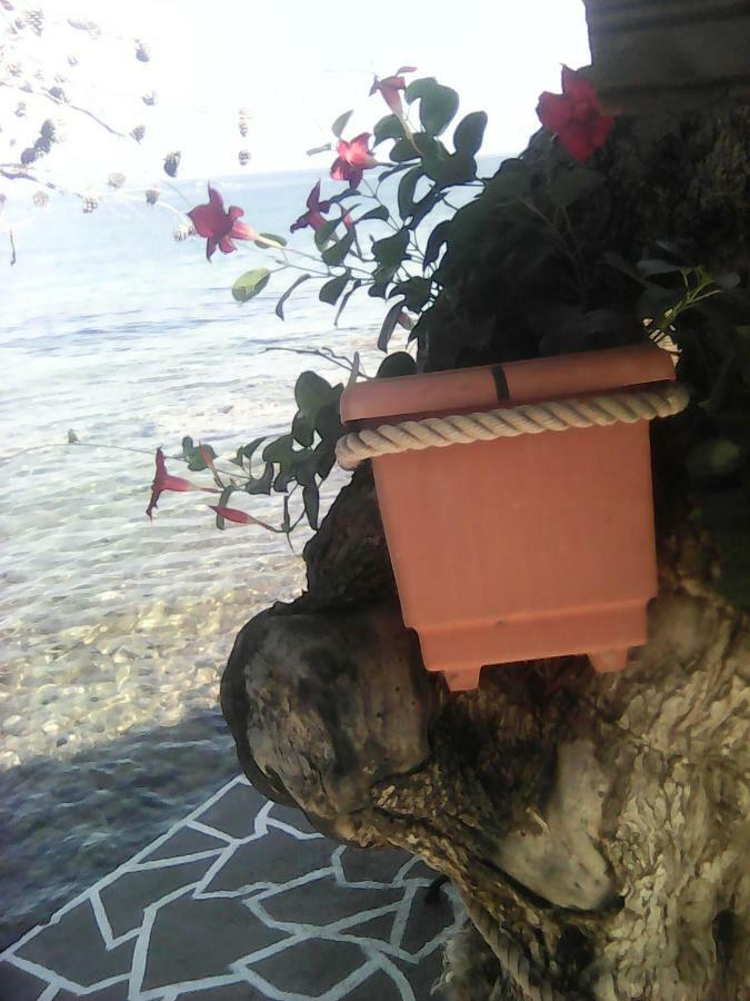 Agyrovoli Bungalow Skála Kallirákhis Buitenkant foto